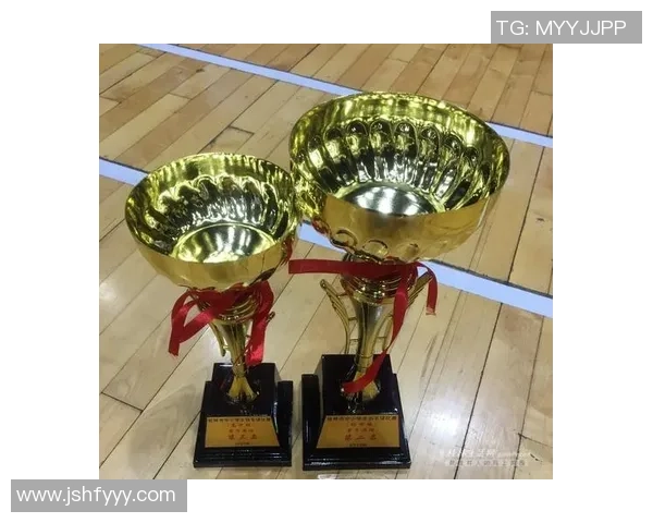 武汉羽毛球队在大满贯赛事中的耐力表现分析与点评